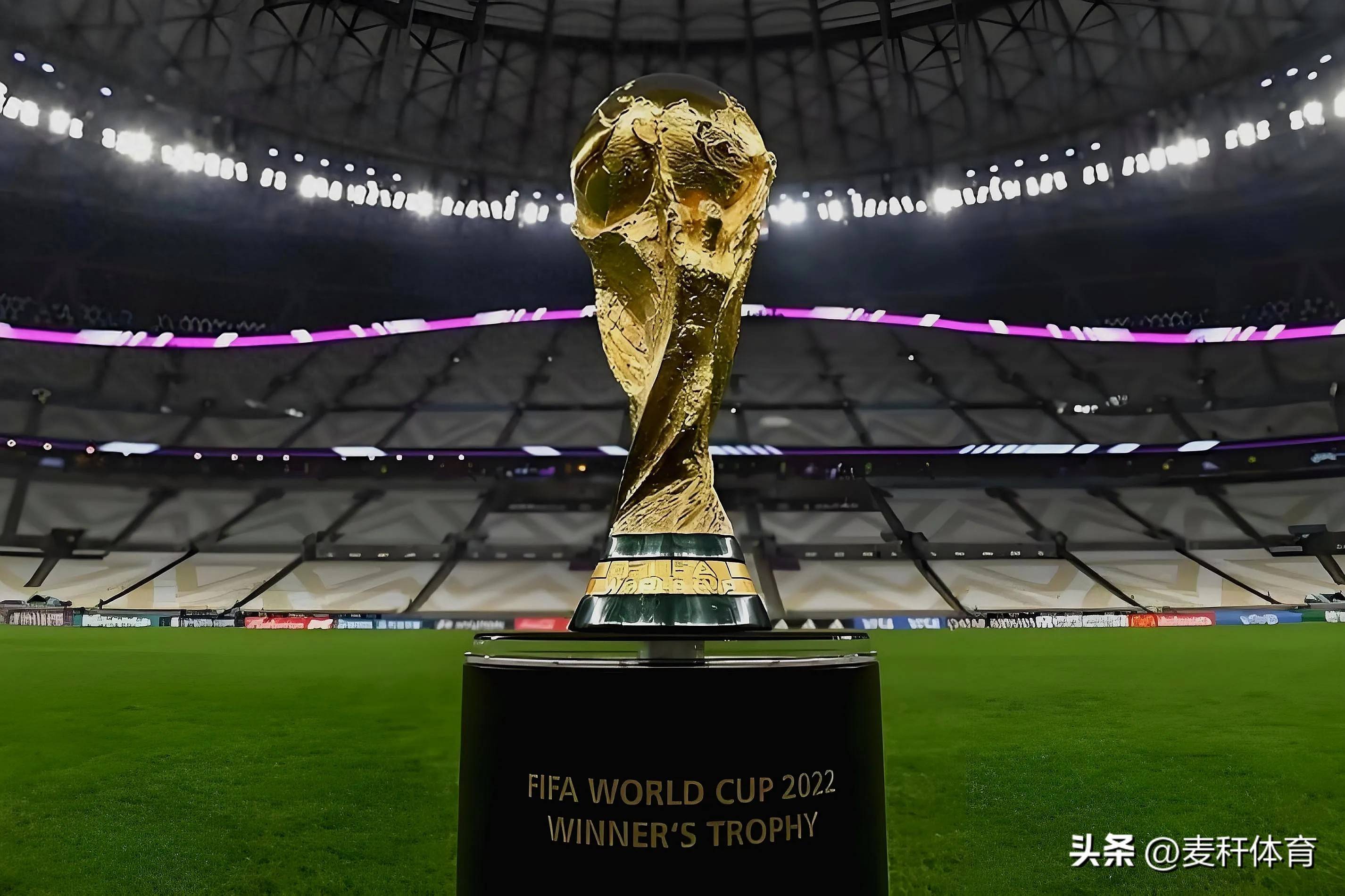 了公众的关 了公众的关